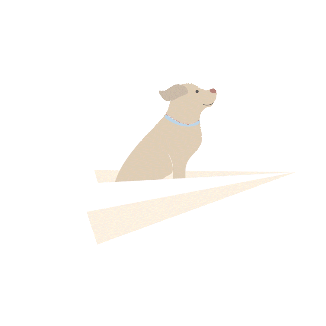 Dog Plane Image